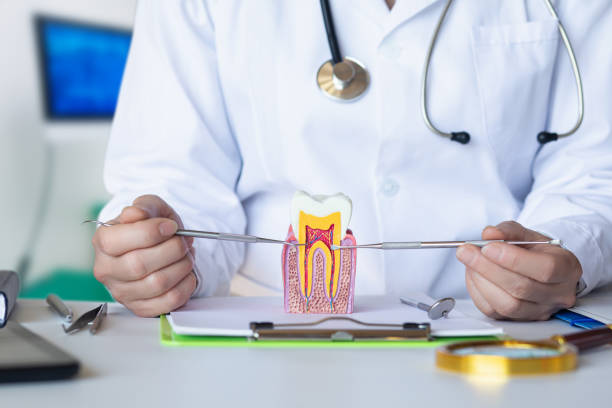 Best Emergency Treatment for Dental Infections or Abscesses in Prior Lake, MN